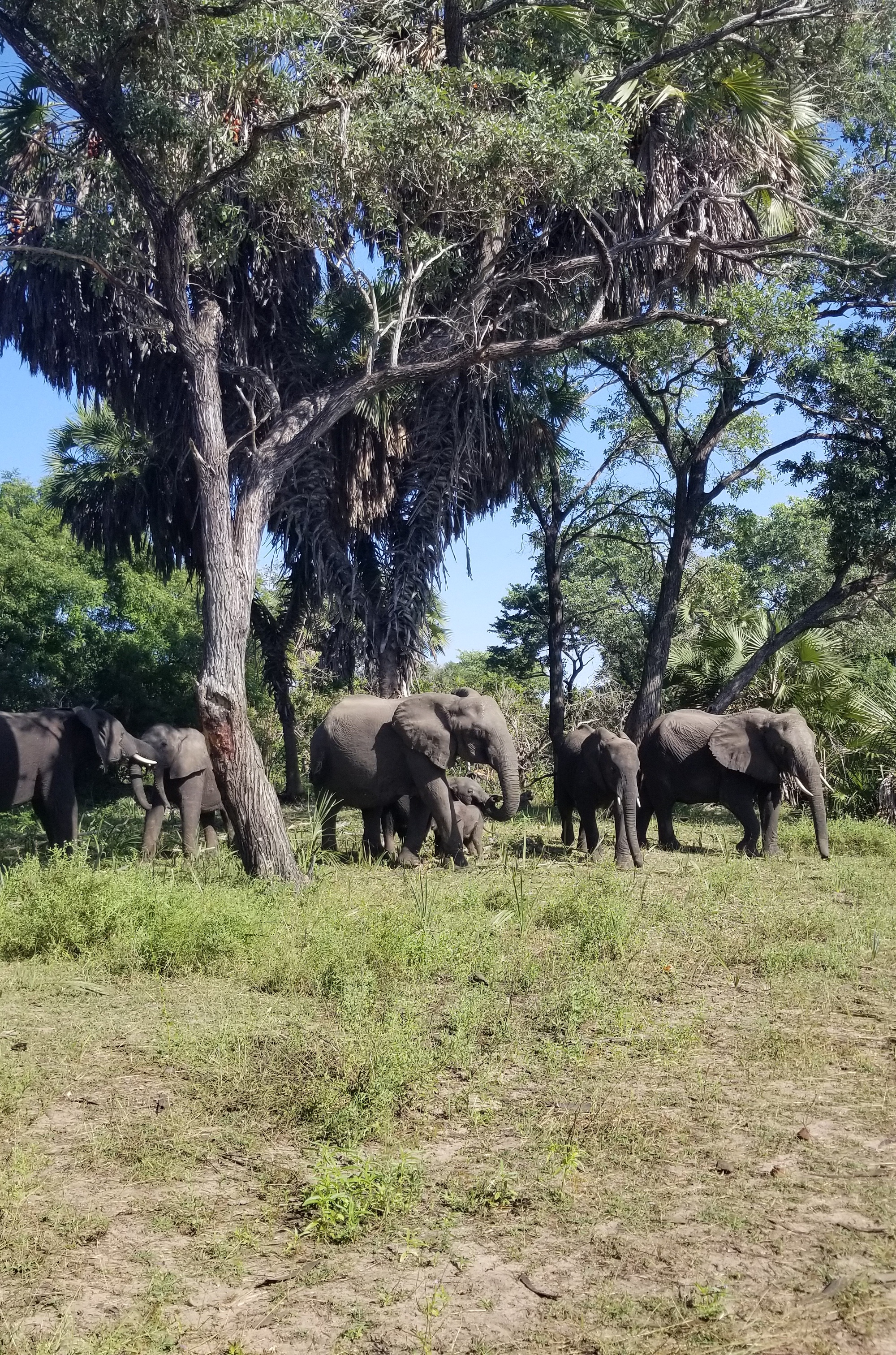 Arusha National Park