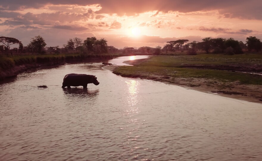 Katavi National Park