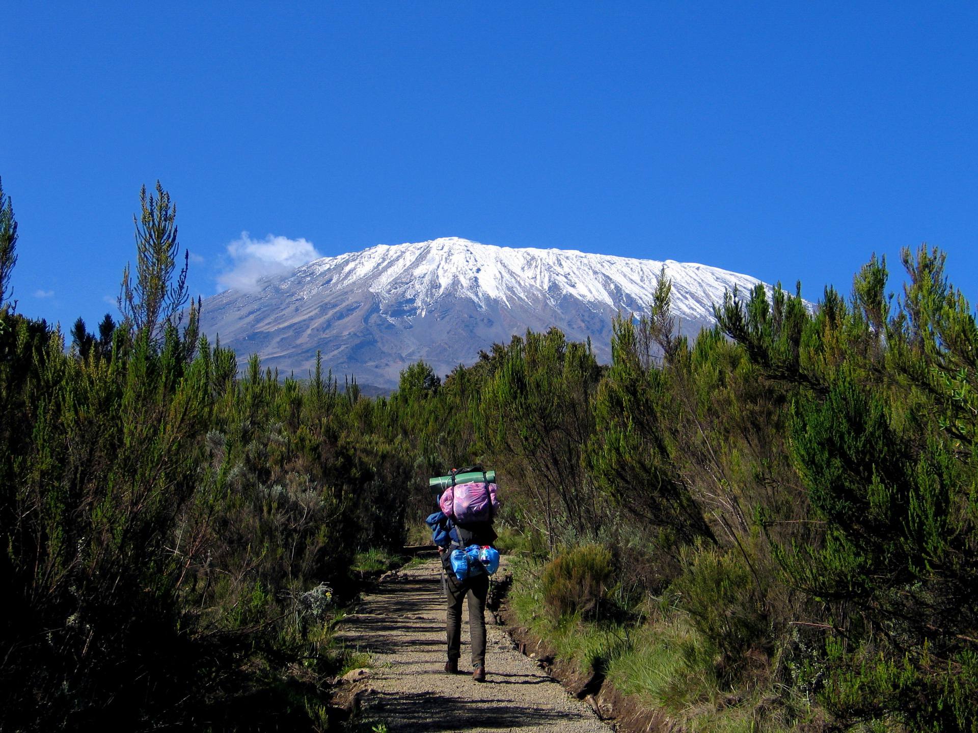 Mount Kilimanjaro