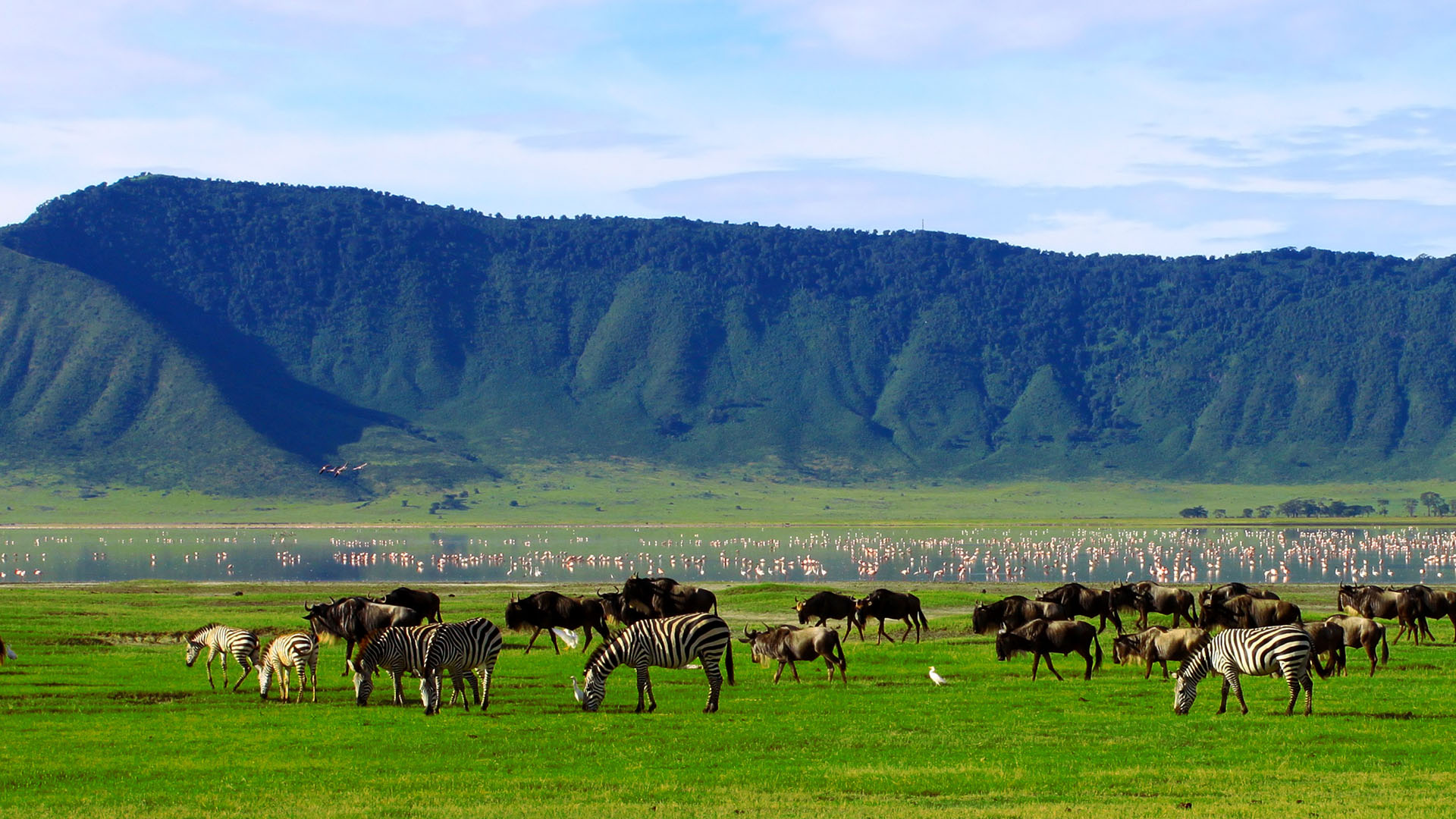 Ngorongoro Crater