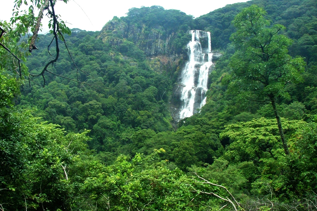 Udzungwa Mountains National Park